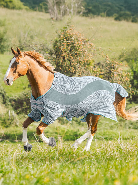 Kramer Paardensport | Sellerie en ligne et matériel d'équitation