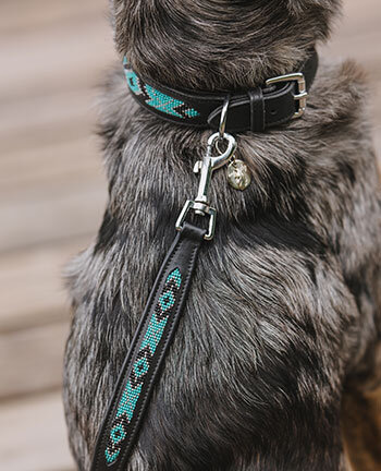 Laisses pour chien