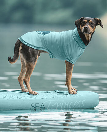 Vestes & manteaux pour chien