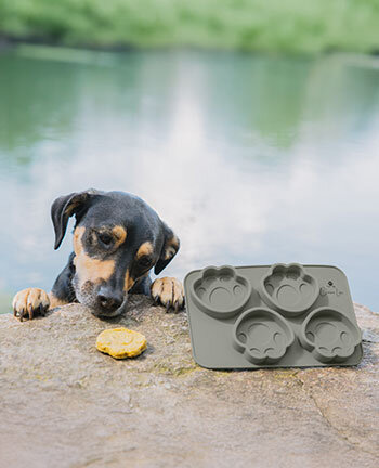 Gamelles & accessoires de voyage pour chien