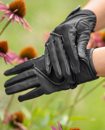 Gants d'quitation