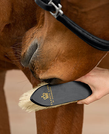 Brosses & brosses douces