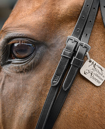 Accessoires de briderie