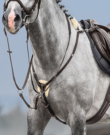 Colliers de chasse & martingales