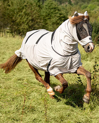 quipement anti dermite pour chevaux islandaises