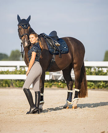 Collections pour poneys