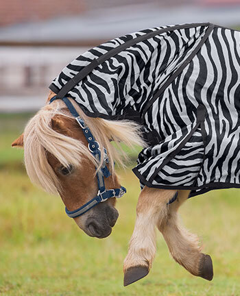 Protection anti-mouche poney