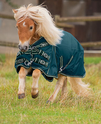 Couvertures poneys & poulain