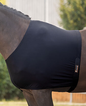 Articles thrapeutiques pour les chevaux