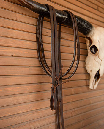 Rnes western