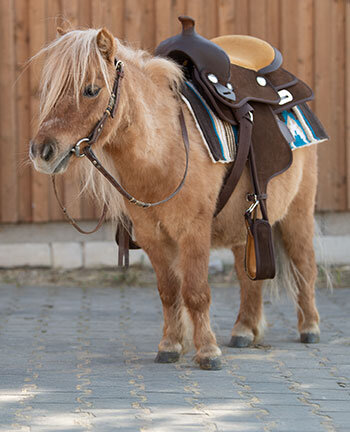 Accessoires pour poneys western