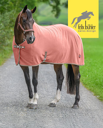 Felix B�hler Chemises s�chantes