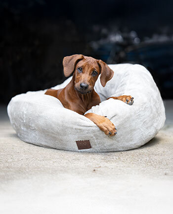 Couchages pour chien