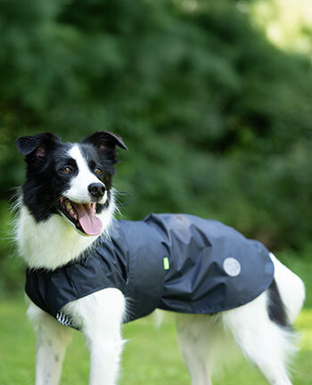 Vestes & manteaux pour chien
