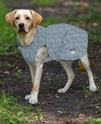 Mat�riel r�flechissant pour chiens