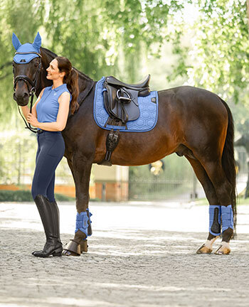 Felix B�hler Mesh Technology