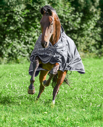 Couvertures pour chevaux