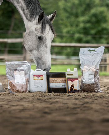Alimentation pour chevaux