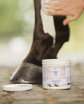 Tendons & articulations