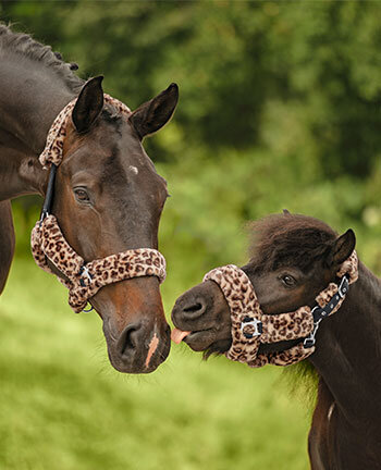 Articles en polaire teddy