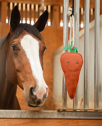 Jouets pour chevaux