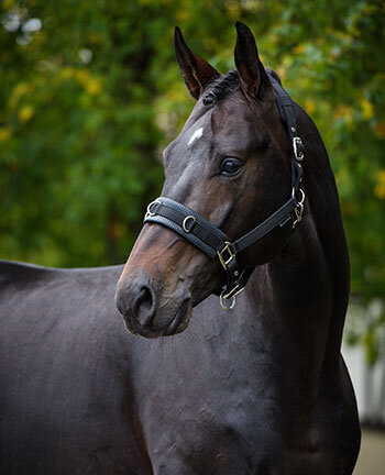 Cave�ons de travail