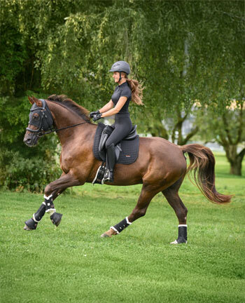 Articles th�rapeutiques pour les chevaux