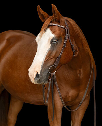 Bridons western Mix & Match