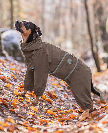 Manteau couverture imperméable pour chien Performance