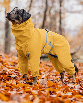 Manteaux pour chiens pour toutes les saisons sur fr.kramer.be