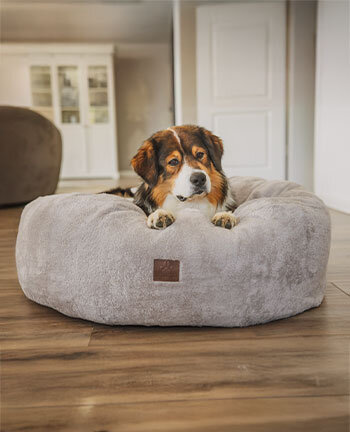Couchages pour chien