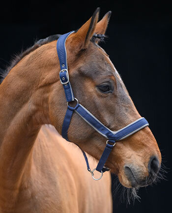 Licols & longes
