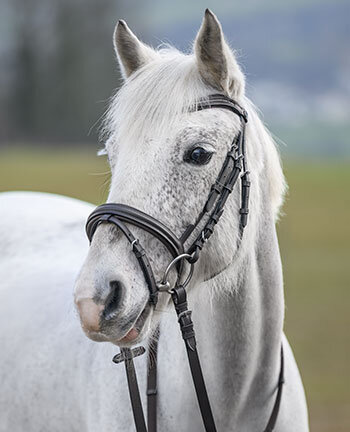 Bridons poney