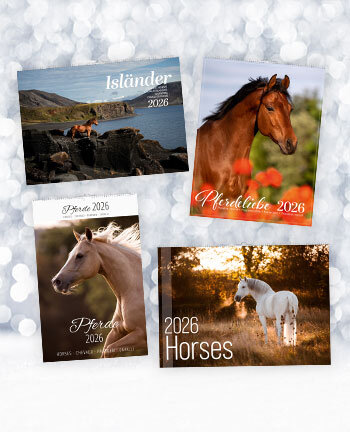 Calendriers