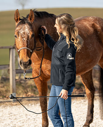Horsemanship & travail  pied