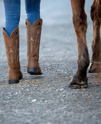 Bottes, chaps & perons western
