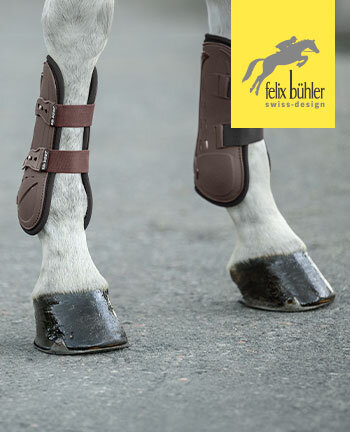 Felix B�hler Gu�tres & bandages