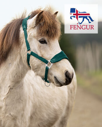 FENGUR Accessoires pour chevaux