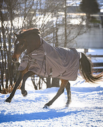 Couvertures pour chevaux