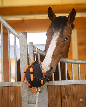 Equipement pour l'�curie