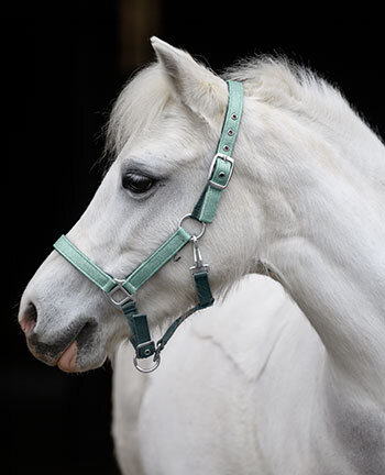Licols pour poneys & poulains