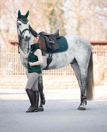 SHOWMASTER Basic