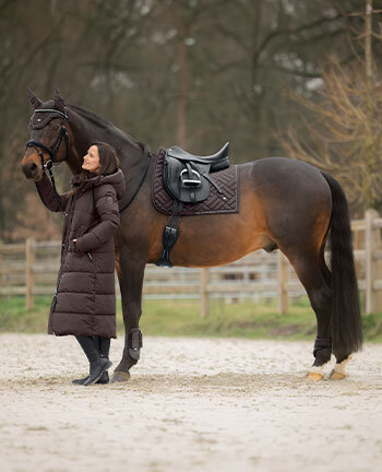 SHOWMASTER Brilliant