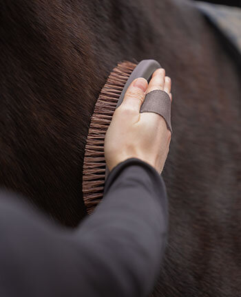 Brosses & brosses douces