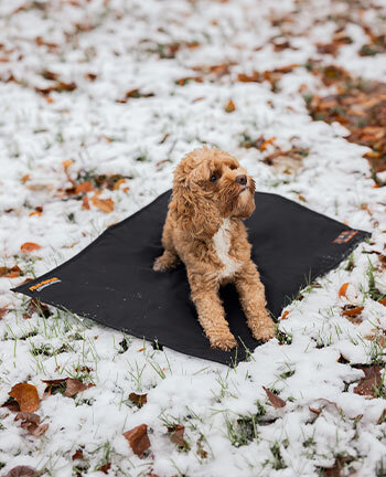 Articles th�rapeutiques pour les chiens
