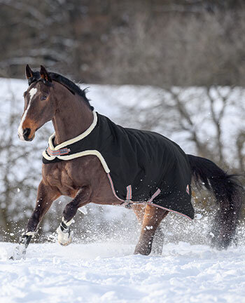 Articles th�rapeutiques pour les chevaux