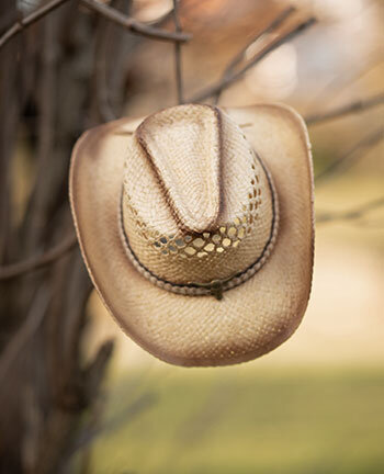 Chapeaux d'�quitation western