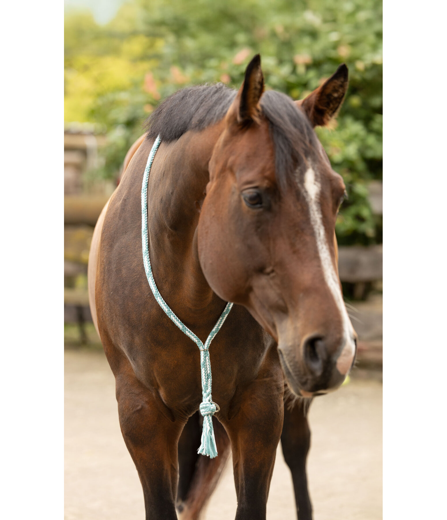 Neck Rope en coton  Tapeka