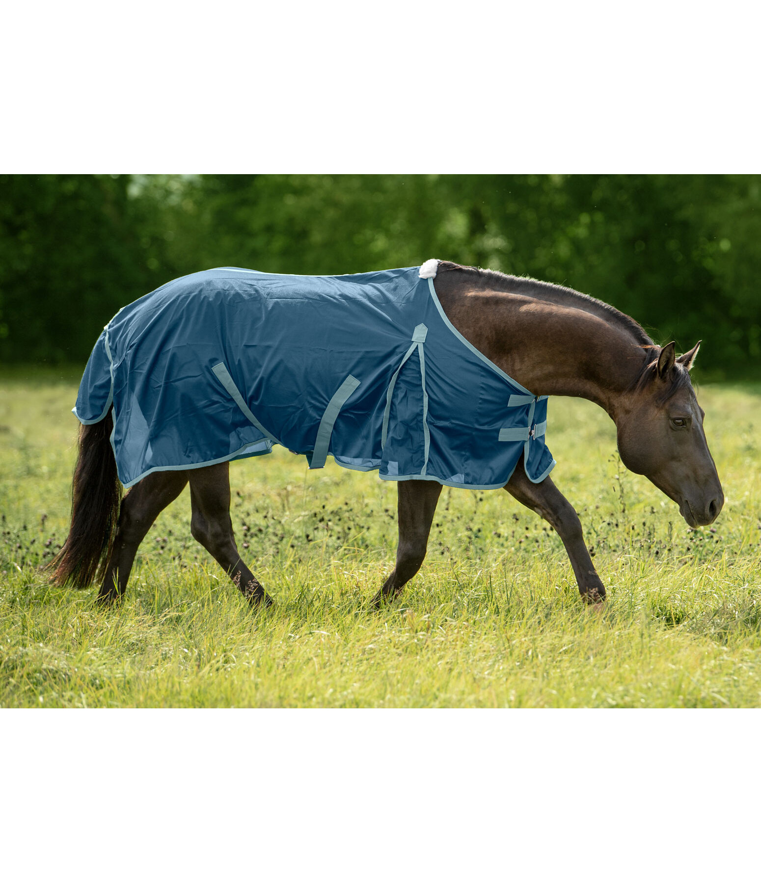 Chemise anti-mouches  Breeze