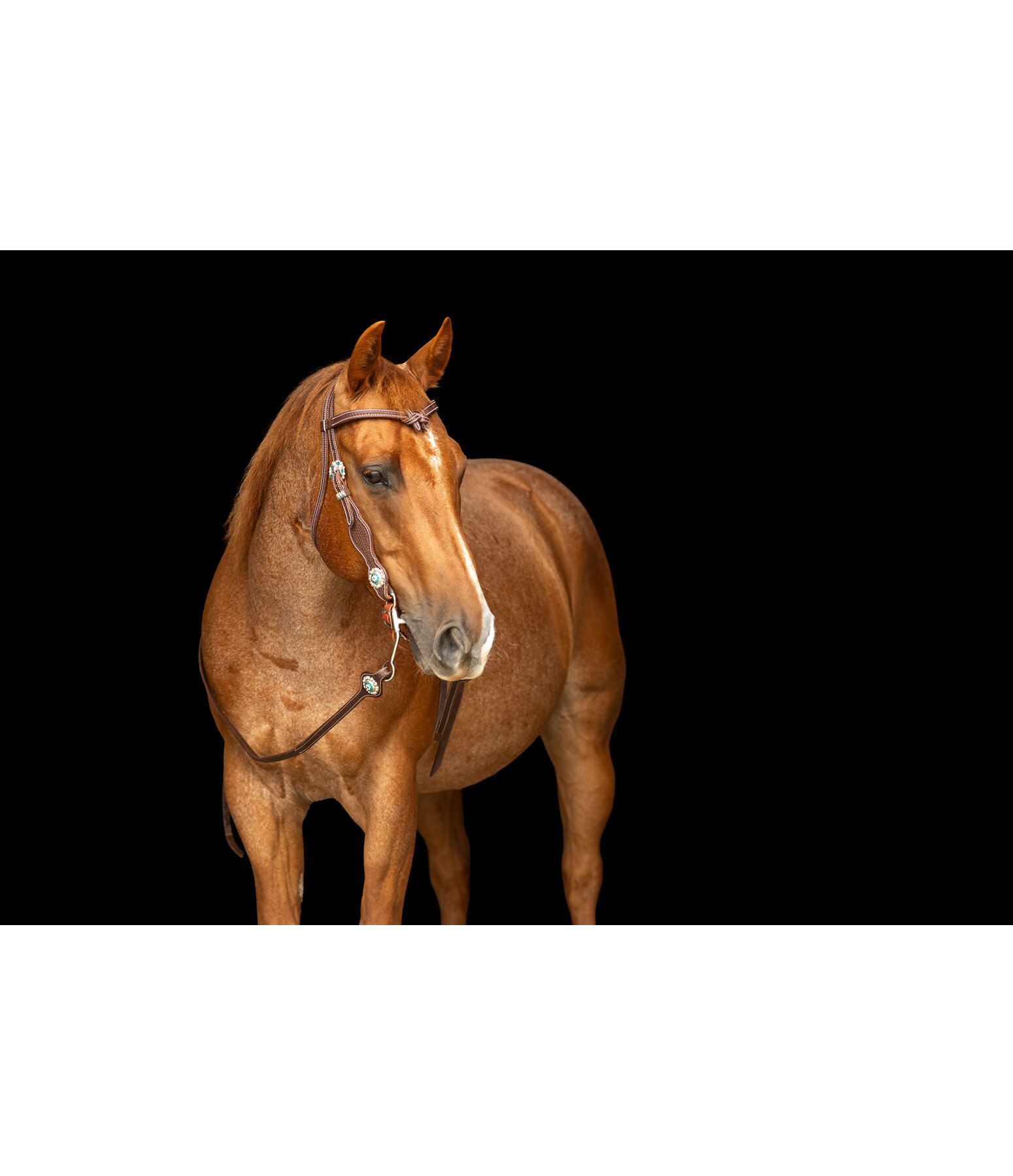 Bridon  Crystal Dream